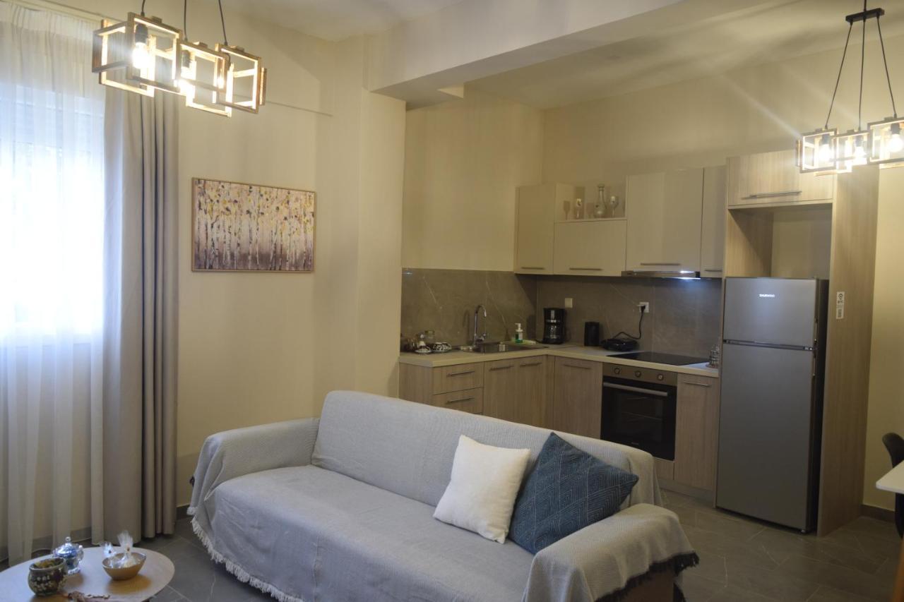Aristo Central Apartments 约阿尼纳 外观 照片