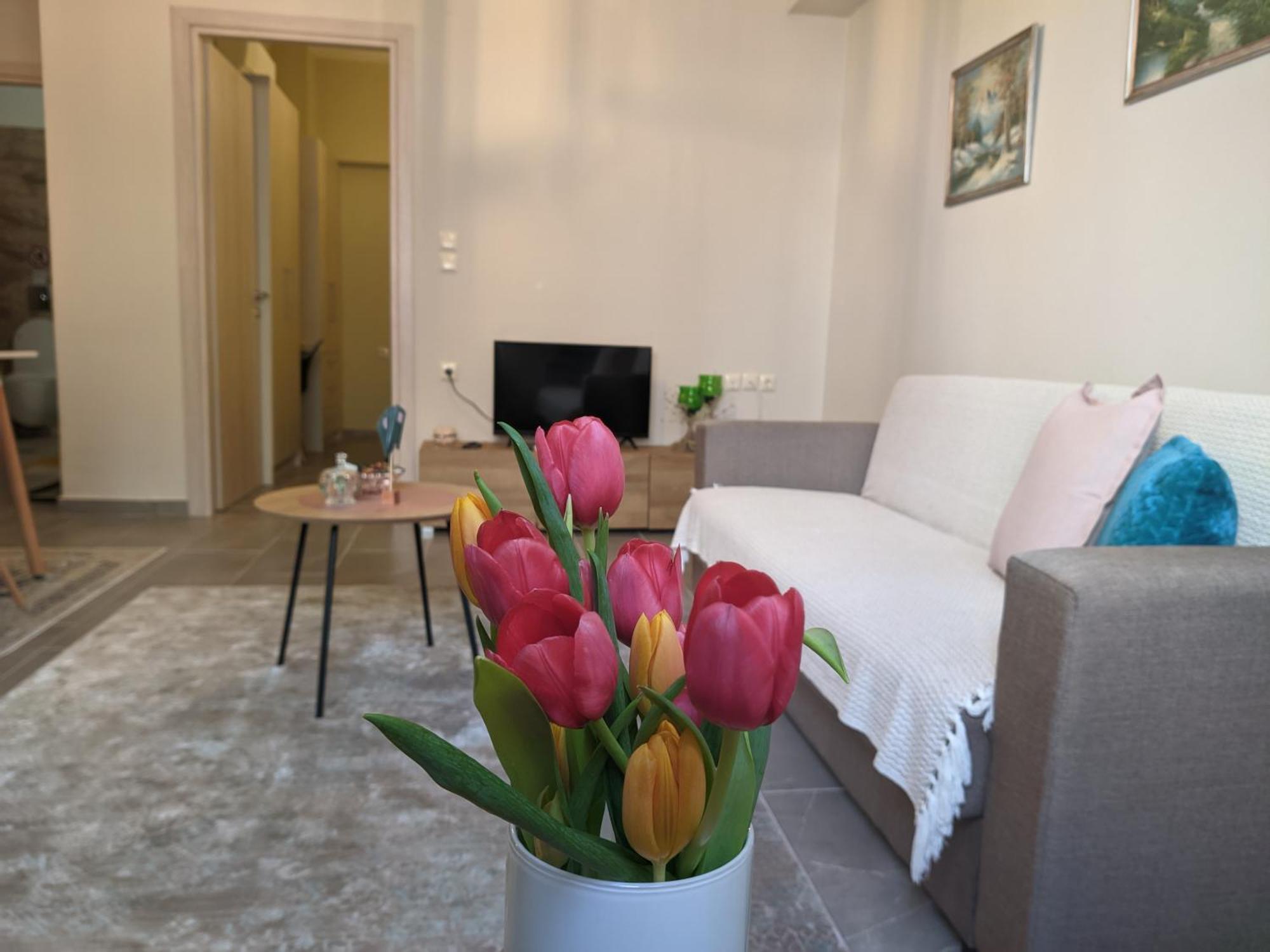 Aristo Central Apartments 约阿尼纳 外观 照片