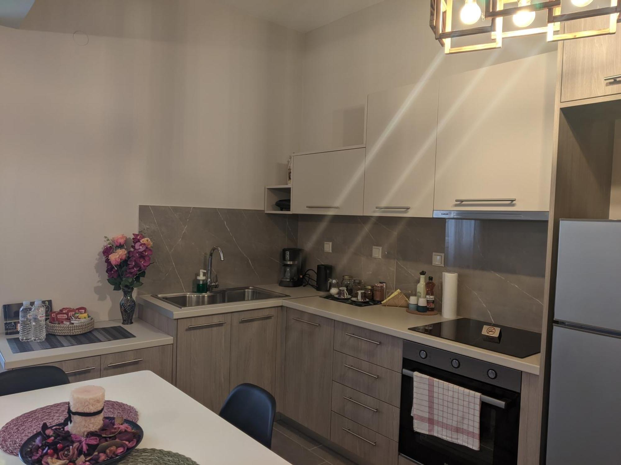 Aristo Central Apartments 约阿尼纳 外观 照片