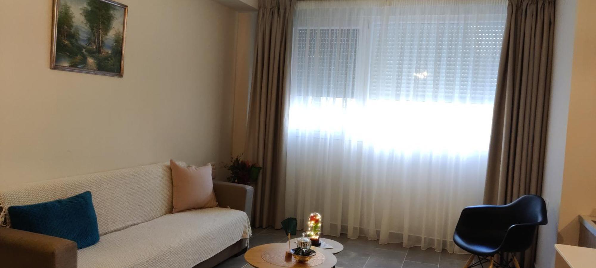 Aristo Central Apartments 约阿尼纳 外观 照片