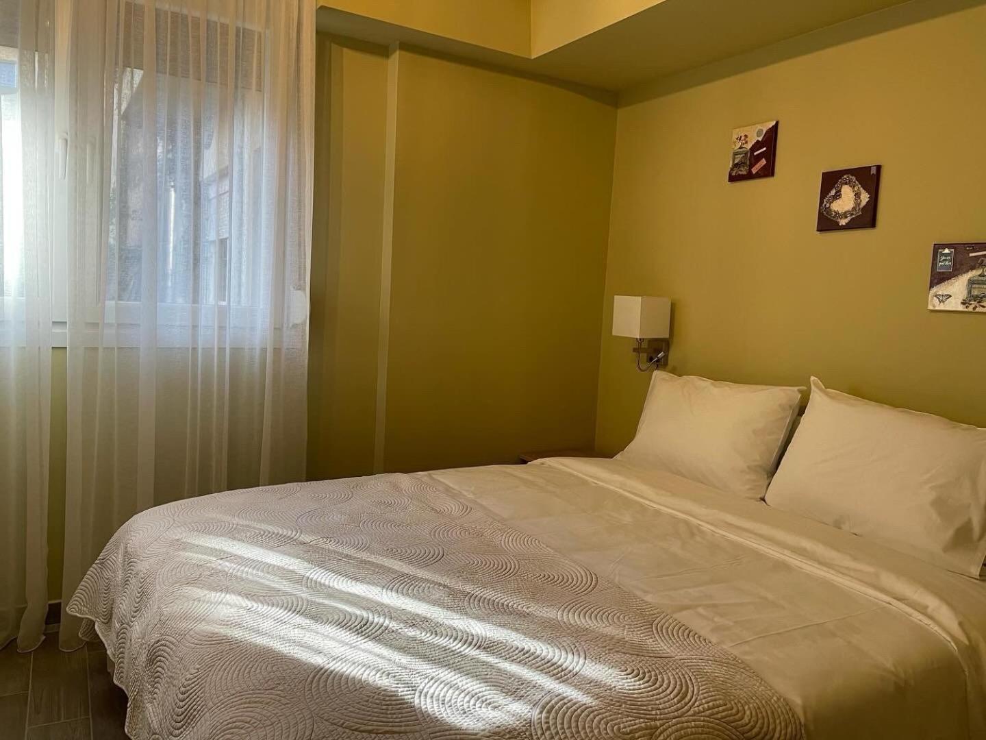 Aristo Central Apartments 约阿尼纳 外观 照片