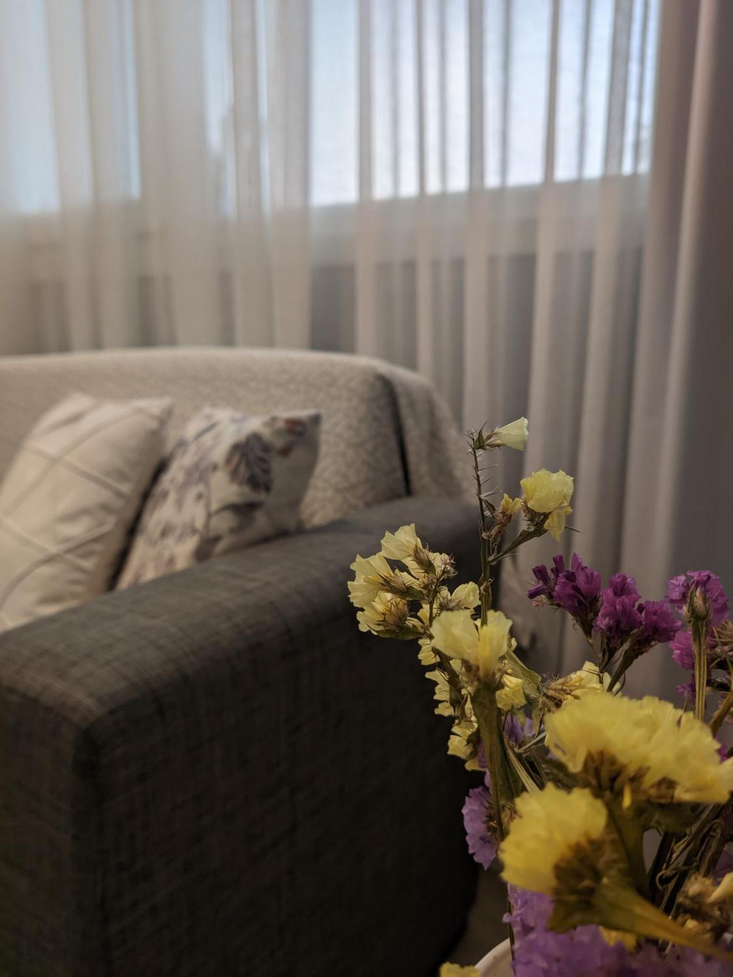 Aristo Central Apartments 约阿尼纳 外观 照片