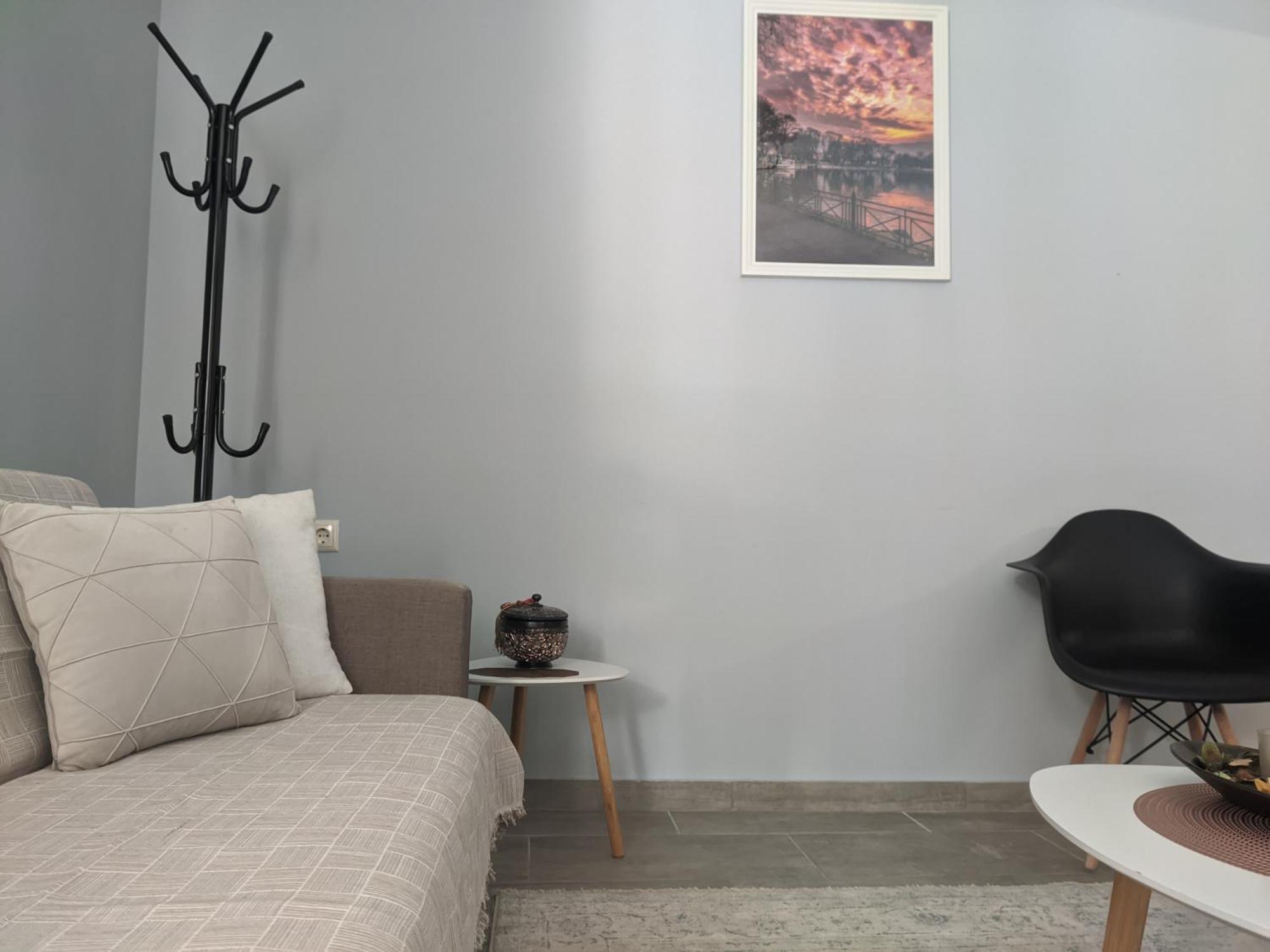 Aristo Central Apartments 约阿尼纳 外观 照片