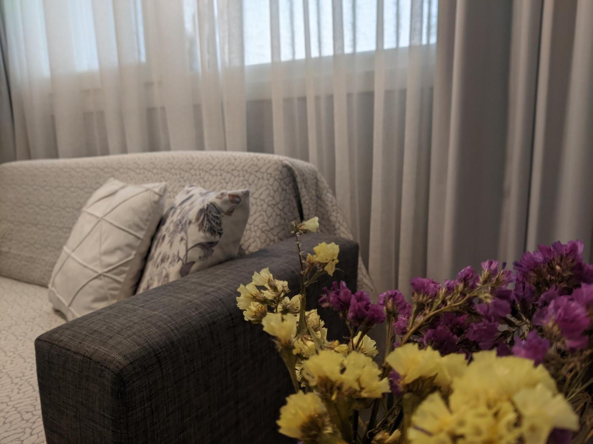 Aristo Central Apartments 约阿尼纳 外观 照片